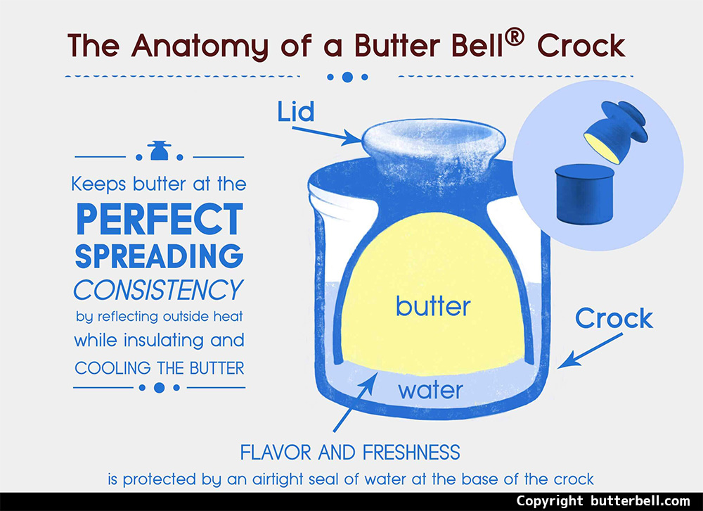infographic-anatomy-of-butterbell