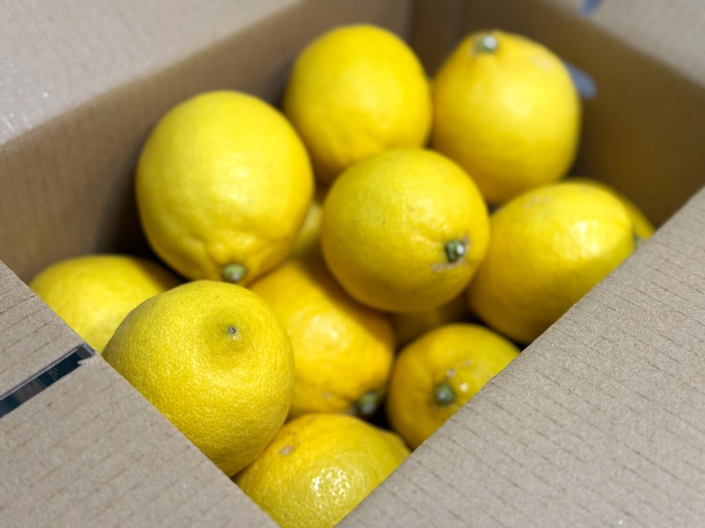 レモンページ、 レモネード・レモニカ】レモンを知り尽くした専門店が本気で作った