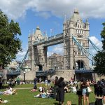 IMG_9716
